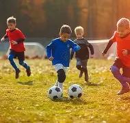 万博体育,资讯,万博体育平台,万博体育平台,万博体育官方网站,万博体育登录入口,万博体育app下载