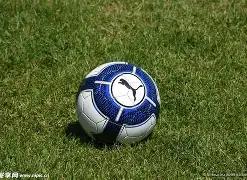 银行外汇业,务在资产避,险中的积极,万博体育平台,万博体育官方网站,万博体育登录入口,万博体育app下载